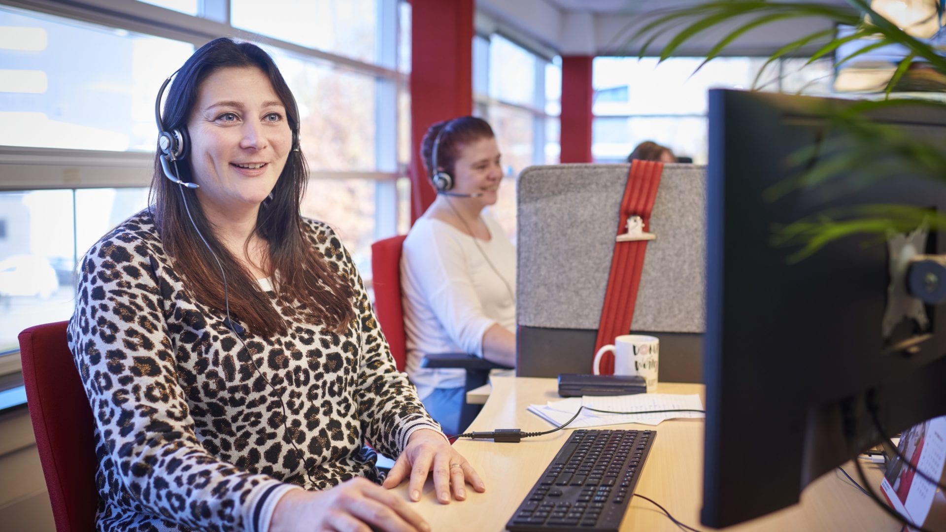 IT Solutions Engineer